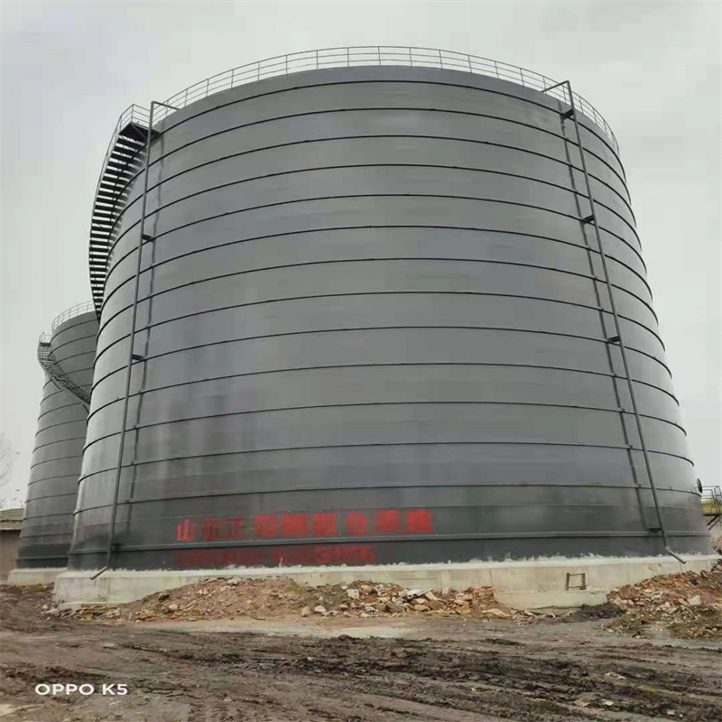 天涯3万吨大型钢板库